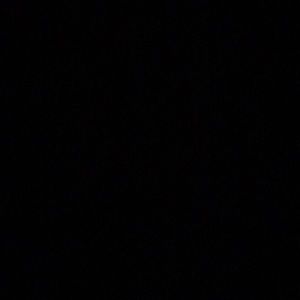 Meet your Posher, Sophia